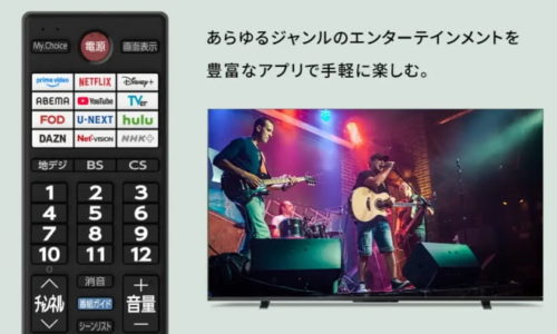 レグザ_32V35S_特徴や注意点1